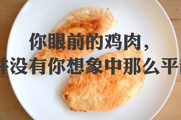 如果让时间逆转，你盘中的鸡肉会经历怎样的过去？