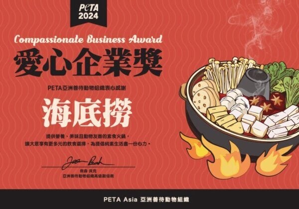 冬日暖胃！PETA推薦十大必嚐純素火鍋，伴您度過寒冷天氣